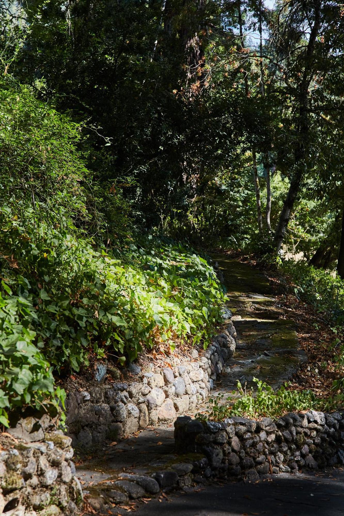 Mine And Farm, The Inn At Guerneville, Ca Kültér fotó